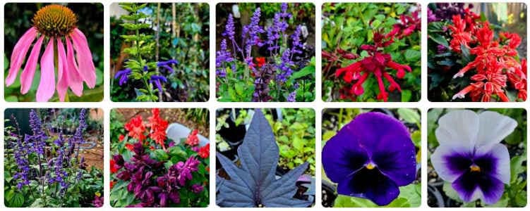 The Plant Stand