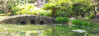 Tamborine Mountain Botanic Gardens