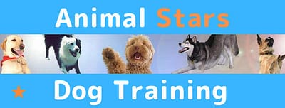 Animal Stars Dog Training