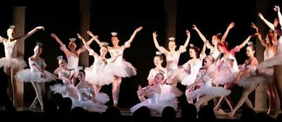 Tamborine Mountain Dance Academy