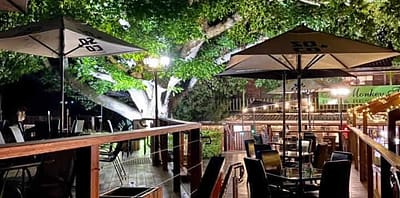 The Monkey Tree Bar & Restaurant