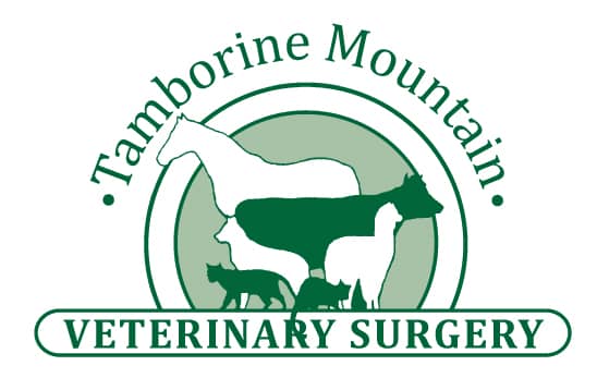 Tamborine Mountain Veterinary Surgery