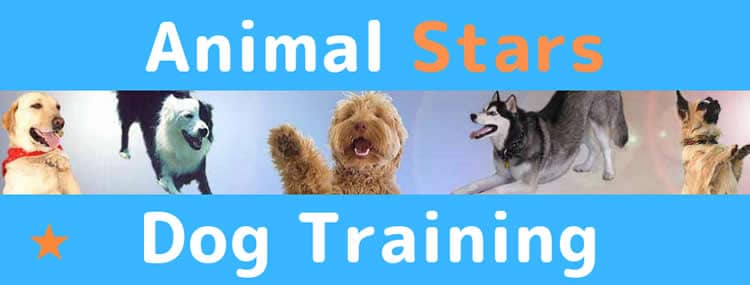 Animal Stars Dog Training