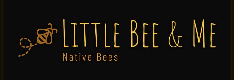 Little Bee’s Secret Garden