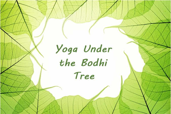 Yoga Under the Bodhi Tree