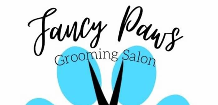 Fancy paws grooming salon sales